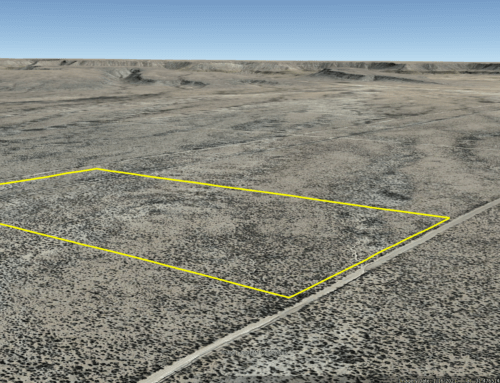 20 Acres Fort Hancock, Texas 62110 – $247/mo