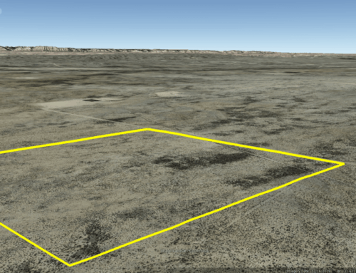 40 Acres Orla, Texas 17338 – $313/mo