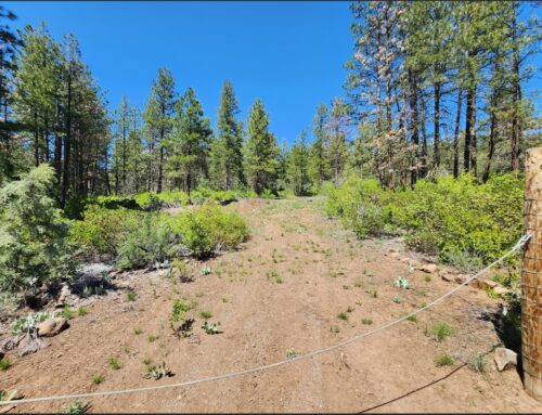 * Pending Sale * 2.4 Acres Klamath Oregon 457838