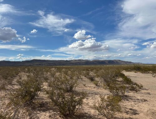 40 Acres Van Horn, Texas Culberson Co.  14330 – $312/mo