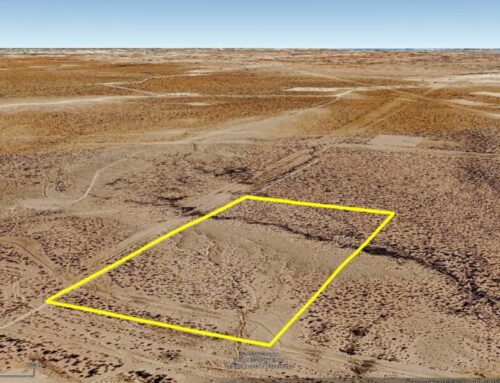 20 Acres Pecos, Texas Ward County 705991 – $313/mo